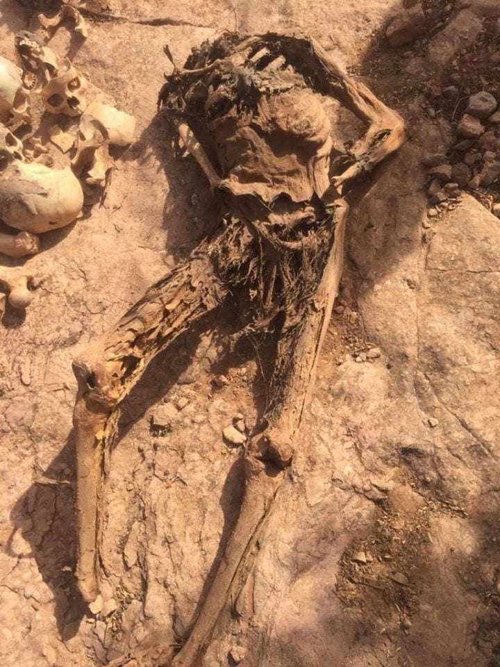 بالصور. جماجم بشرية وهيكل عظمي داخل “مقبرة جماعية” تستنفر سلطات تارودانت