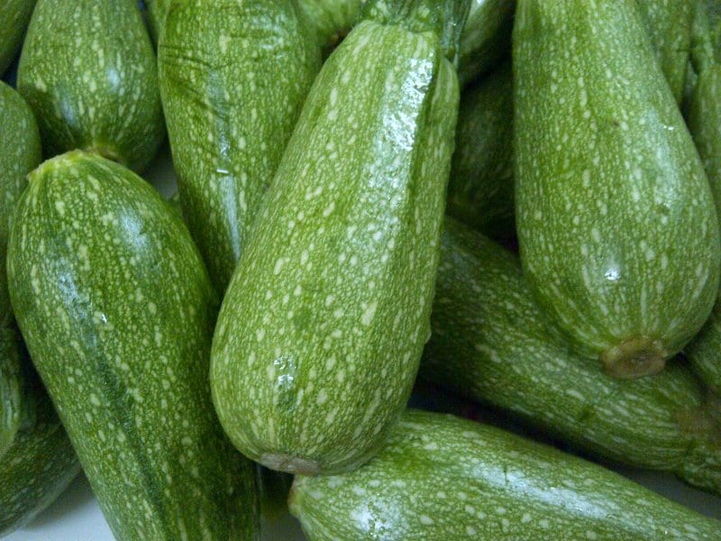 دراسة.. “الڭرعة السلاوية” تقوية الأوعية الدموية