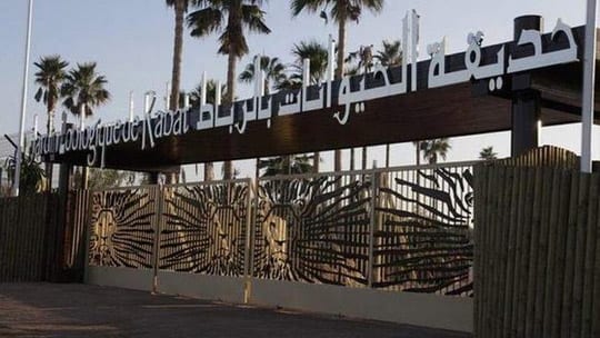 افتتاح جناح للزواحف الإفريقية بحديقة الحيوانات الوطنية بالرباط