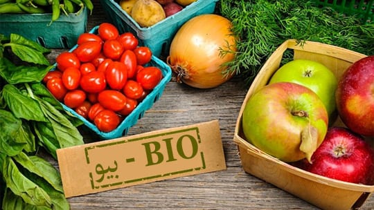 حقول زراعة “البيو” تضاعفت بـ 50% في العقد الأخير بالمغرب