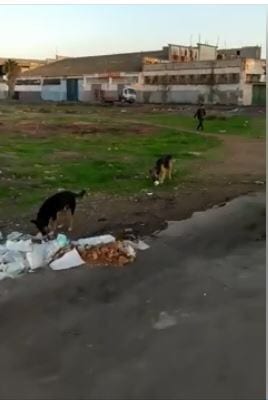 كازا. مصحة خاصة تتخلص مجددا من مخلفات المستلزمات الطبية في الشارع (+صور)