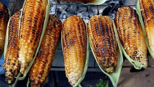 تعرفوا على فوائد الذرة المشوية على صحة الإنسان