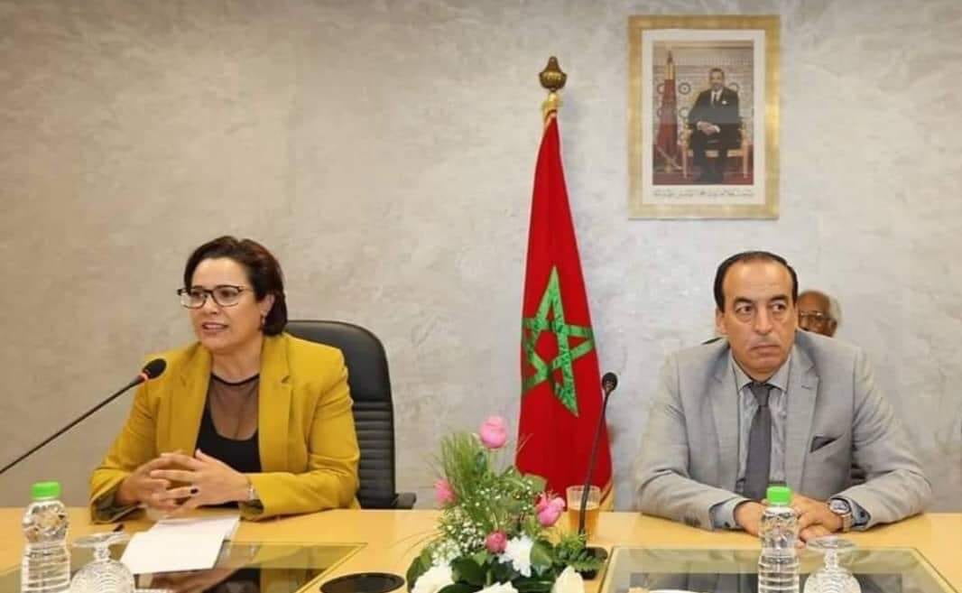 “الحساب صابون”.. افتحاص 25 جامعة رياضية و8 جامعات مع “وقف التنفيذ” في 2019