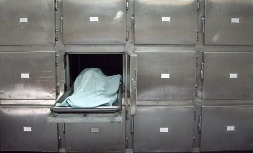 بركان. جثة داخل حوض للسقي الزراعي والدرك يفكّ “اللغز”