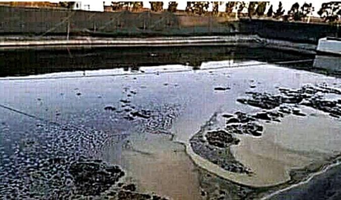 الجديدة. صهاريج “ليكسيفيا” الكريهة تغضب السكان