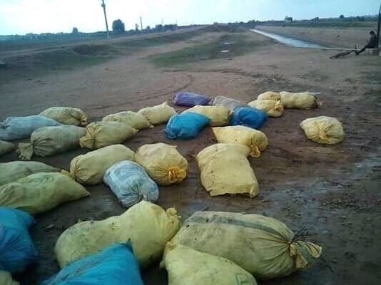 مزرعة تتخلص من أكياس “الدجاج النافق” في مجرى مائي في سيدي بنور (+صور)