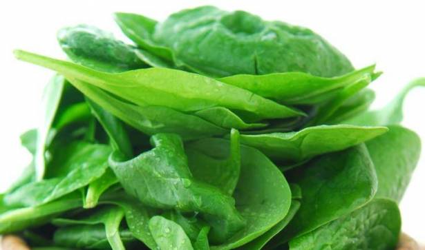 تعرفوا على الفوائد “السحرية” للخضروات الورقية الخضراء