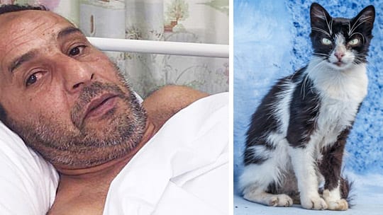 عضة هرّ بالمغرب تنهي حياة مهاجر مغربي بإسبانيا