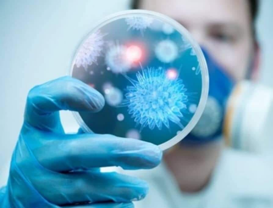 فيروس ” كورونا” خبراء يكتشفون نوعا جديدا