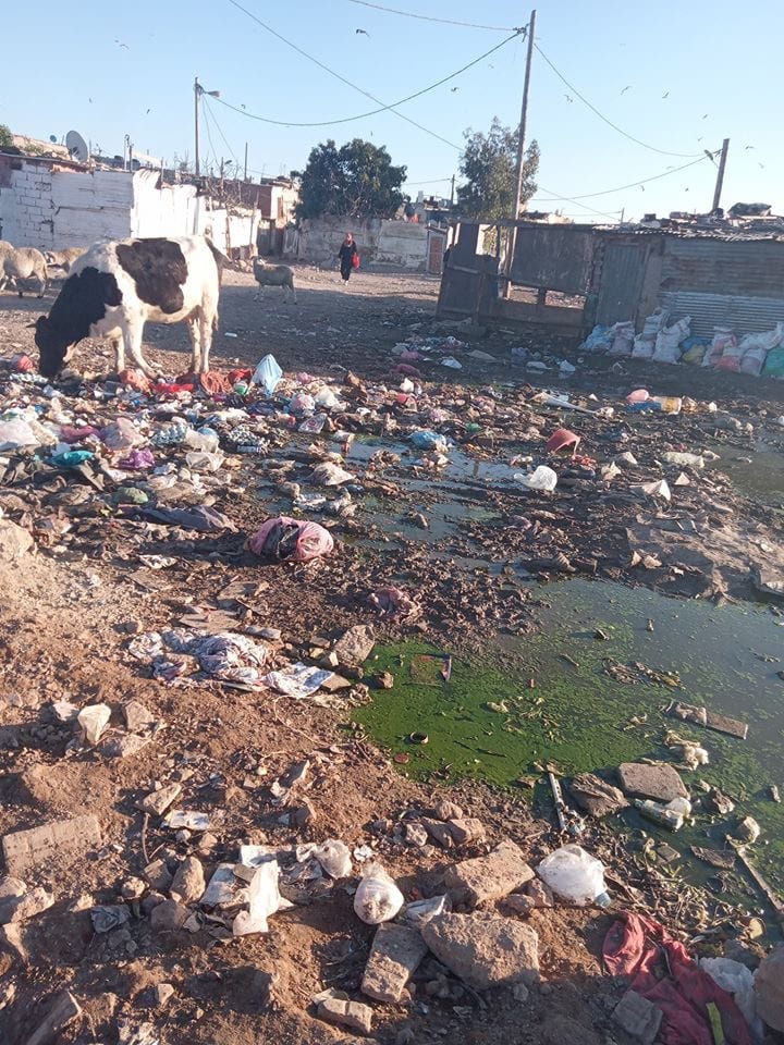 كازا. دوار في عين السبع يتحول إلى مستنقع ومرتع لـ”البهايم” (+صور)