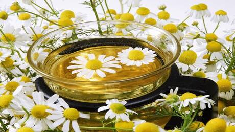 واش في اخباركم. ان مشروب البابونج مفيذ جذا لمرضى السكري