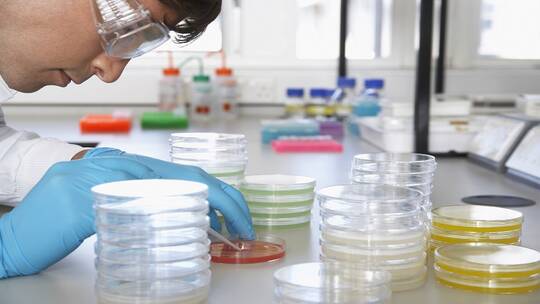 تعرفوا على اهم اكتشافات العلماء الصحية في 2019