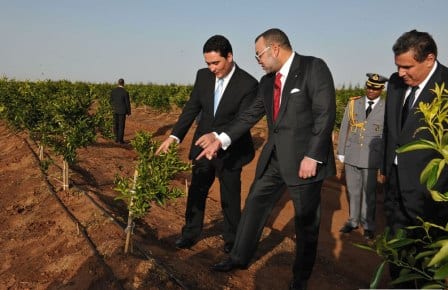 الملك يشرف على إطلاق مشروع غرس 100 هكتار من الأركان بجماعة إيمي مقورن بقيمة 1,8 مليون درهم