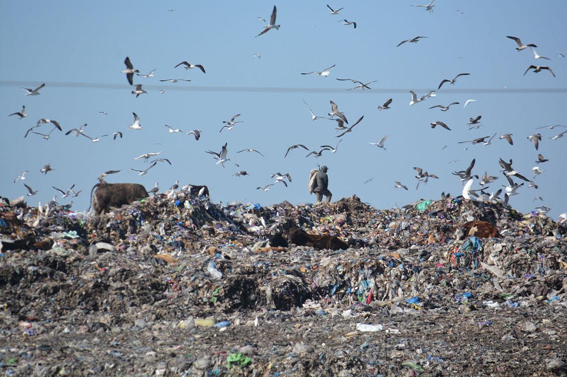 كازا. مطرح مديونة للأزبال لم يعد يتحمل حمولة شاحنة واحدة  ومجلس المدينة “آوت”