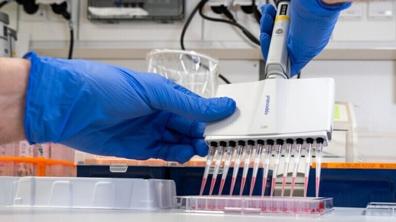 علماء. ابتكار تقنية إختبار سريع لفيروس كورونا
