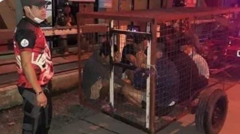 في الفلبين. من يكسر حضر التجول يوضع في عربة لجمع الكلاب