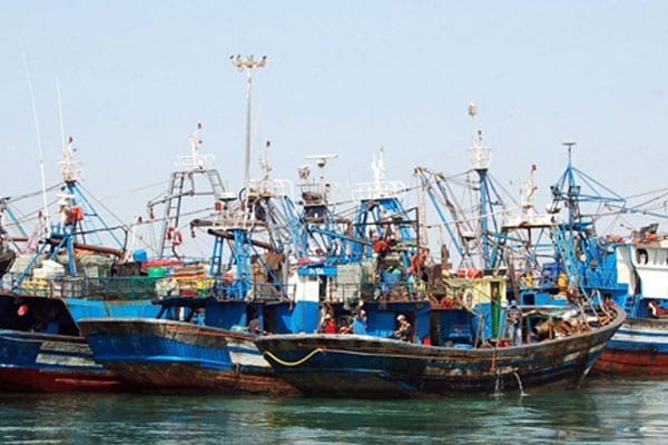 الداخلة.. استمرار نشاط المراكب ومعامل صيد السمك بكامل قدراتها الإنتاجية