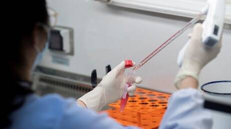 تعرفوا عليها. ثلاث سلالات من فيروس كورونا حيرت العالم