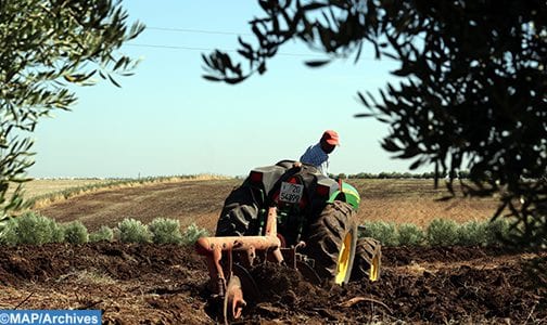 تعاضدية (مامدا) تعوض الفلاحين المتضرّرين بالجفاف