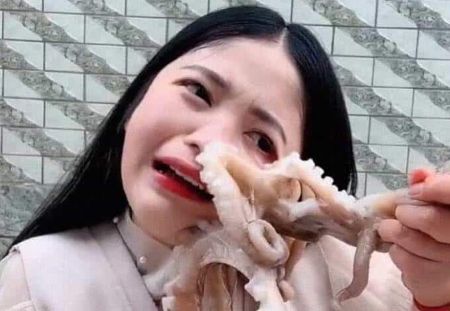 بالفيديو.. أخطبوط ينتقم من فتاة صينية أرادت أكله حياً