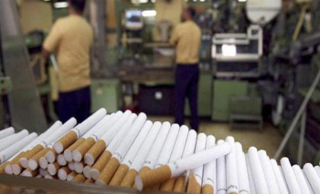 شركة سجائر عالمية “تزعم” تطوير لقاح من نبات التبغ يواجه فيروس كورونا