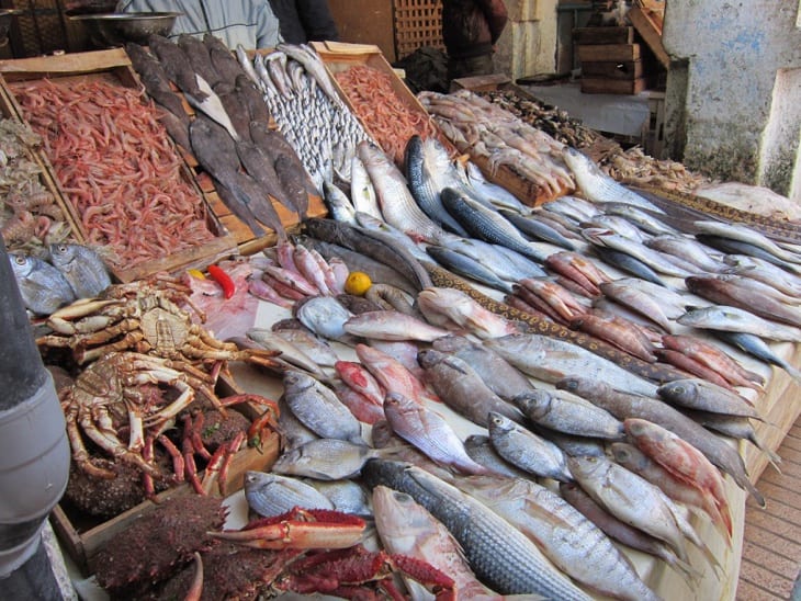فيروس كورونا. قطاعا الفلاحة والصيد البحري نجحا في الحفاظ على أنشطتهما وإنتاجهما