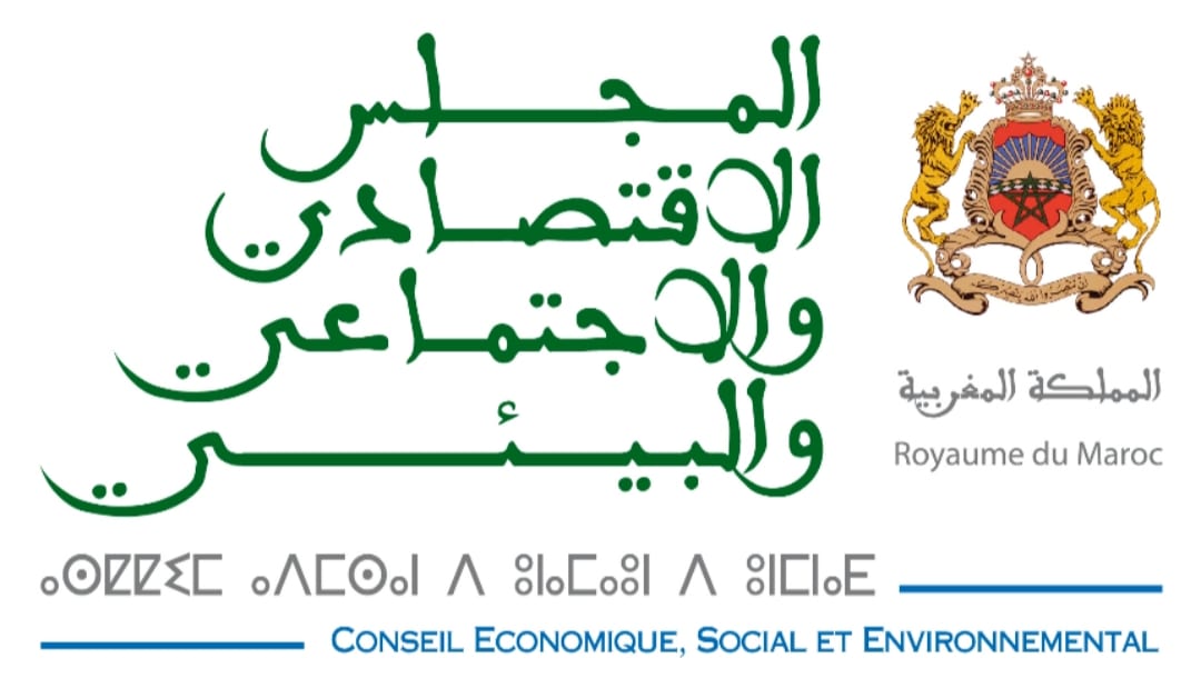 المجلس الاقتصادي والاجتماعي والبيئي. يصدر تقرير حول واقع الرياضة المغربية