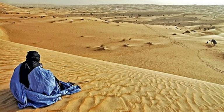 أخبار كاذبة. الجزائر تختلق وثيقة وتجعل منها عقيدة للبوندستاغ حول الصحراء المغربية