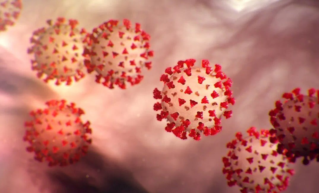 في أي مناخ يزداد انتشار “كوفيد-19″؟