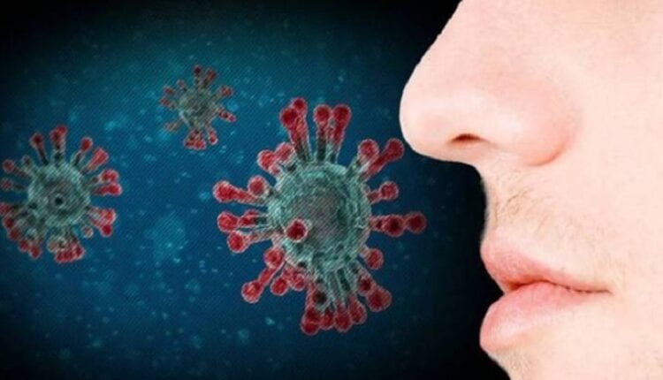 العلماء يكشفون أخيرا سر فقدان حاسة الشم بسبب “كوفيد-19”