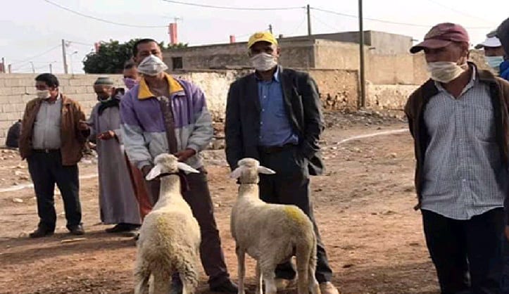 الرحامنة. افتتاح السوق الأسبوعي في وجه مربي الماشية بسيدي بوعثمان