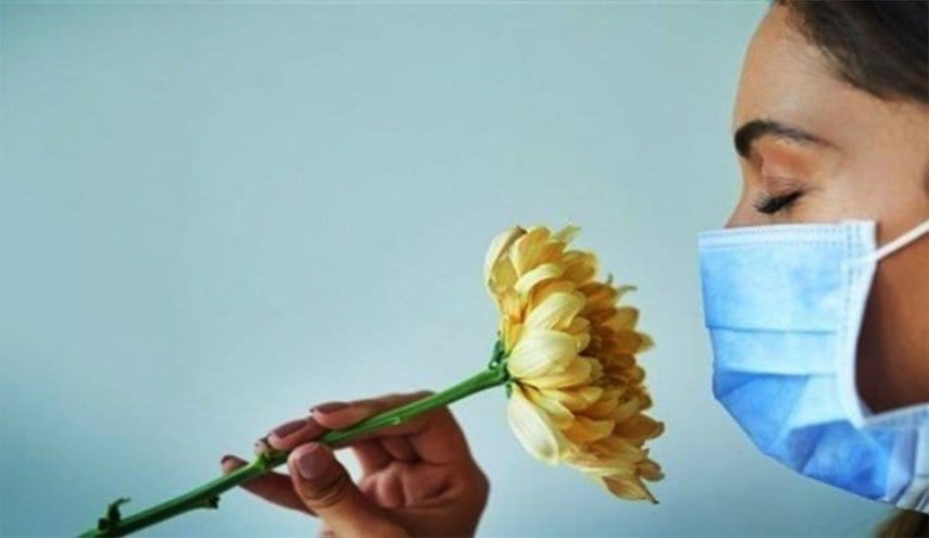 علماء. تحديد السبب وراء فقدان مرضى “كوفيد-19” حاسة الشم