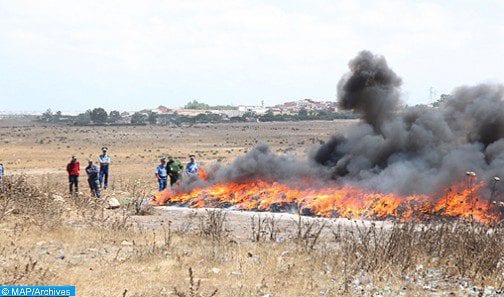 إتلاف كمية كبيرة من المخدرات والسجائر المهربة سبق أن حجزتها مصلحة الجمارك بأكادير