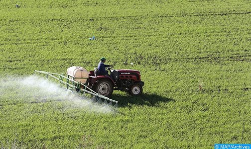 جهة بني ملال-خنيفرة. أزيد من 7 آلاف هكتار حجم المساحة المزروعة بالخضراوات رغم الحجر الصحي