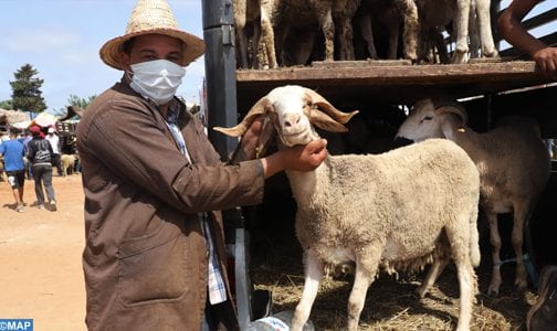 في زمن كورونا.. عيد أضحى بطعم مغاير