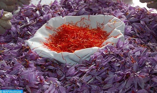 أزيلال. دار الزعفران الفضاء الأمثل لتسويق عصري للذهب الأحمر