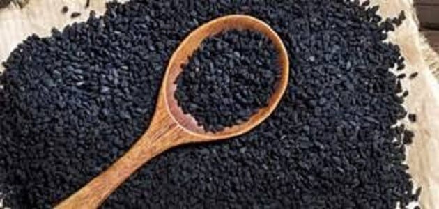 خبراء مغاربة. “الحبة السوداء” تعالج مرض “كوفيد 19”