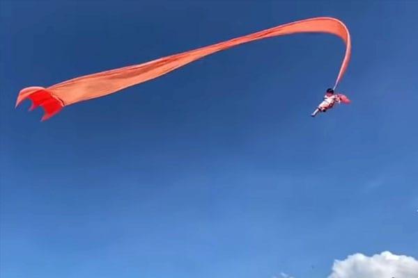بالفيديو.. نجاة طفلة 3 سنوات في تايوان بعد أن سحبتها طائرة ورقية إلى أعلى