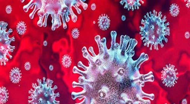 ردوا بالكم. اكتشاف مدة بقاء فيروس كورونا على اللحوم والأسماك المجمدة