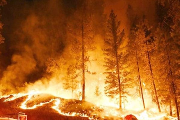 إقليم الحوز. السيطرة على حريق بغابة “غيغاية”