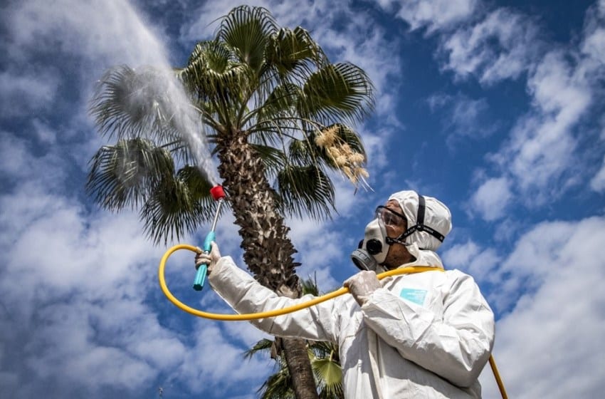 شاهد أين يقضي وزراء ومسؤولين كبار ومشاهير عطلة الصيف بعد منع السفر السياحي إلى الخارج