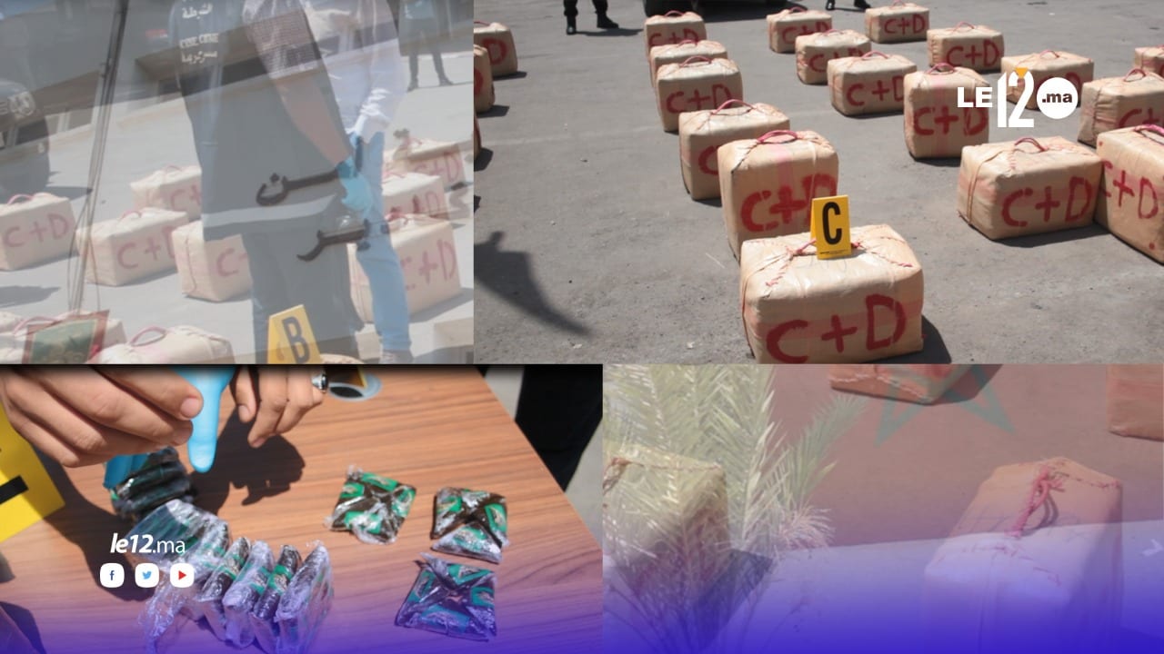 بالفيديو.. شرطة أكادير تستعرض طن ونصف من الشيرا بعد حجزه لدى شخصين