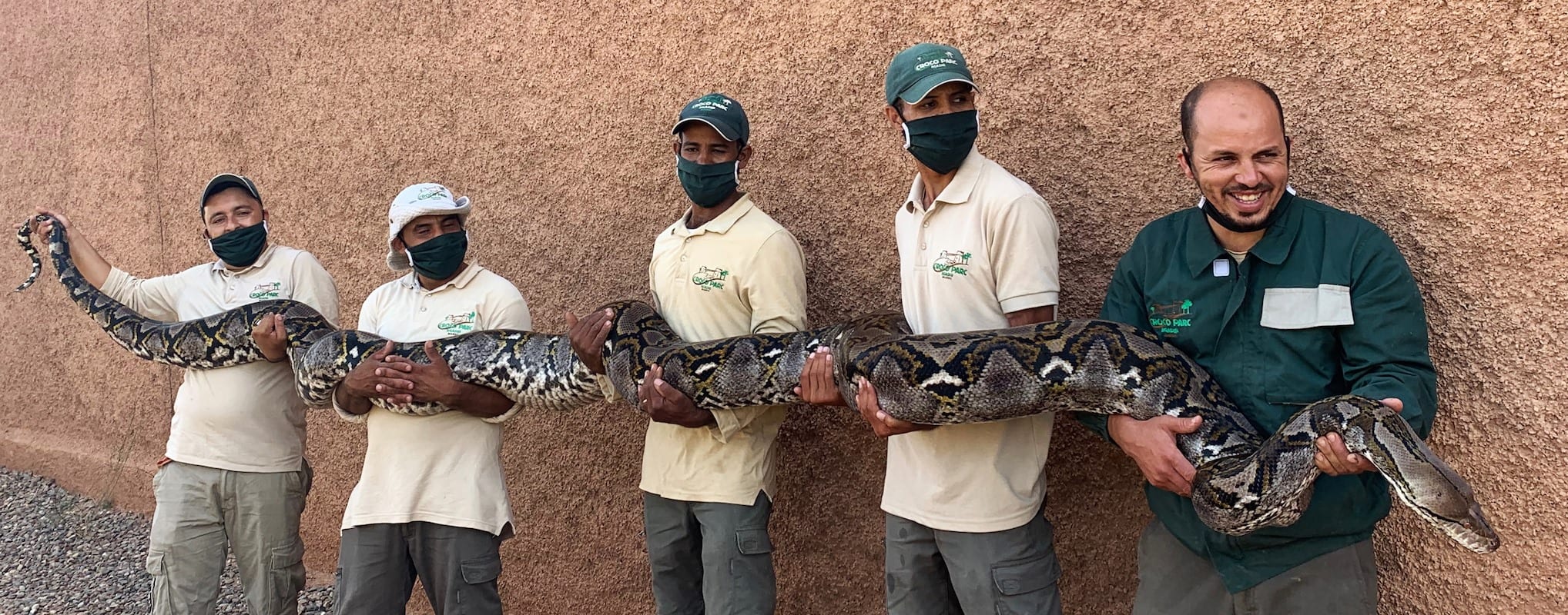 أكادير. حديقة “كروكوبارك” تعرض ثعبانا يعد الأكبر بالمغرب