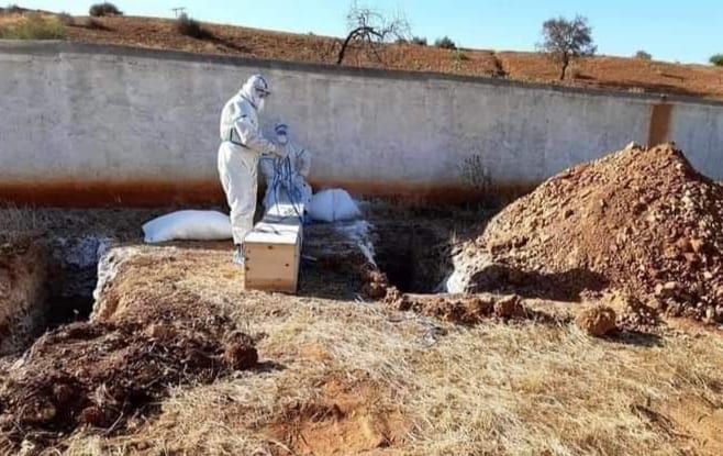 عاجل. تسجيل 1260 حالة شفاء و 39 حالة وفاة جديدة خلال الـ24 ساعة الأخيرة