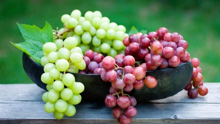 ردوا بالكم. خبير يتحدث عن مخاطر تناول العنب