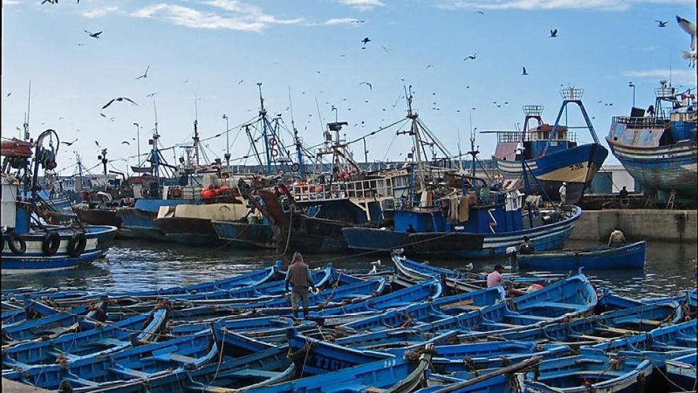 من جديد. ميناء الصويرة يستأنف نشاطه أسبوعا بعد إغلاقه