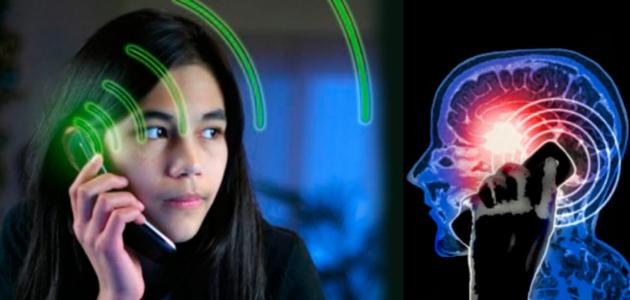 بسبب الهواتف المحمولة. ذاكرة الإنسان في خطر