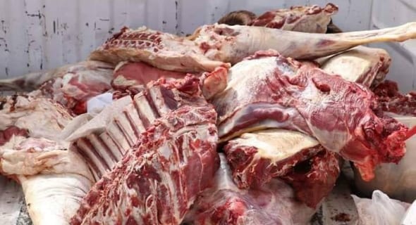 طنجة.. حجز حوالي طن من اللحوم الفاسدة كانت توزع على أصحاب الأكلات الخفيفة