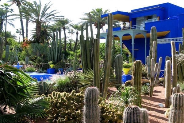 مراكش .. إعادة فتح حديقة ماجوريل والمتحف الامازيغي للجمهور