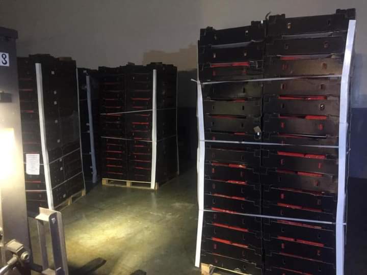 التفاصيل الكاملة. لإجهاض عملية تهريب حوالي 12 طن من “الحشيش” بطنجة